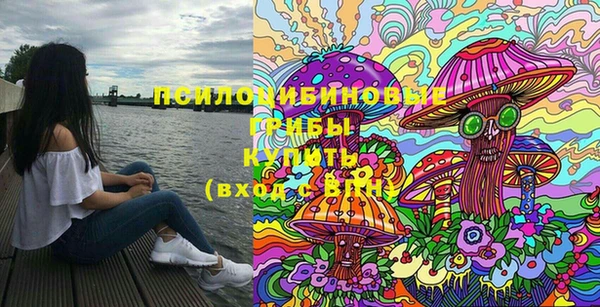гидра Бородино