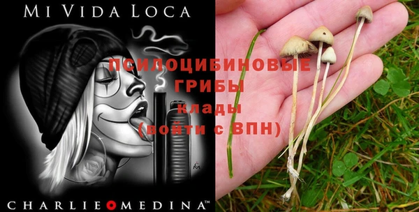 а пвп мука Верхний Тагил