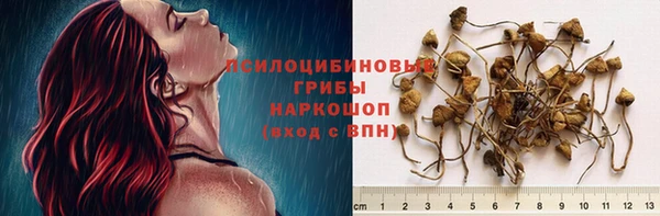 не бодяженный Верея