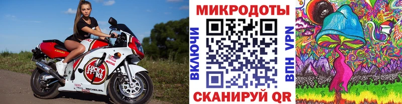 где продают наркотики  Тамбов  Псилоцибиновые грибы ЛСД 