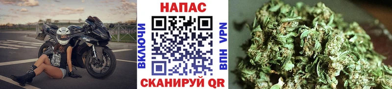 Каннабис ГИДРОПОН Тамбов